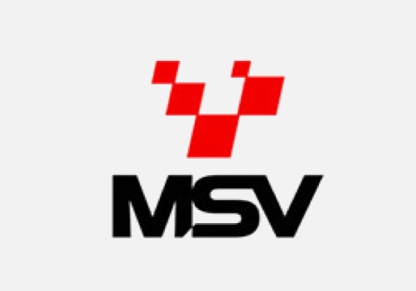 MSV